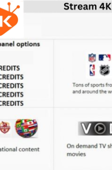 Stream4k Panel